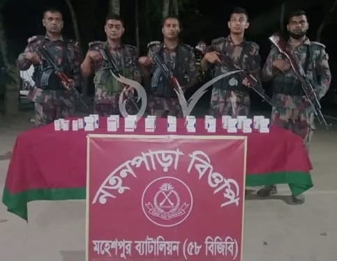 জীবননগর সীমান্তে মাদক ও ভারতীয় ক্যান্সারের ওষুধ উদ্ধার