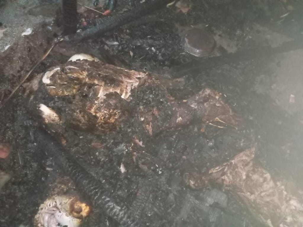 ঠাকুরগাঁয়ে রায়পুরে আগুনে দগ্ধ ৫টি গরু ও ৭টি ছাগল- দিনমজুরের অপূরণীয় ক্ষতি