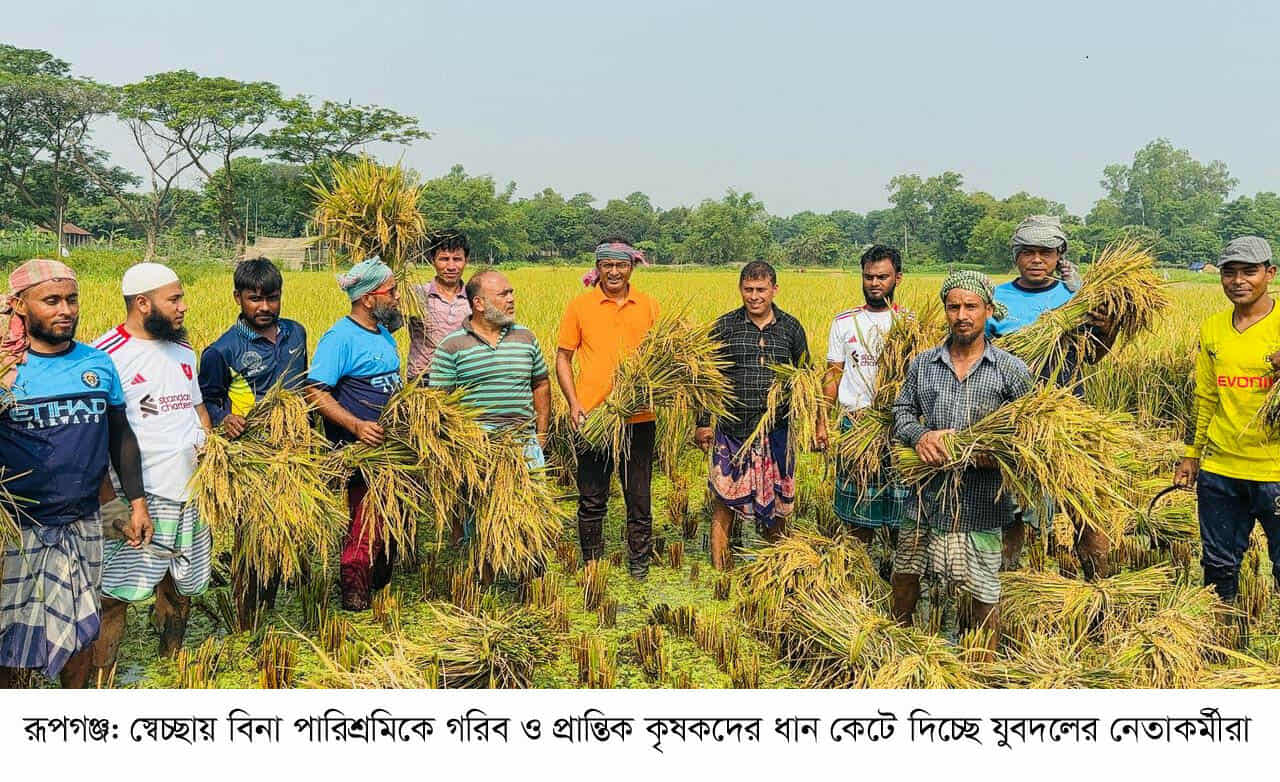 গরিব ও প্রান্তিক কৃষকের ধান কেটে দিচ্ছেন রূপগঞ্জ উপজেলা যুবদল