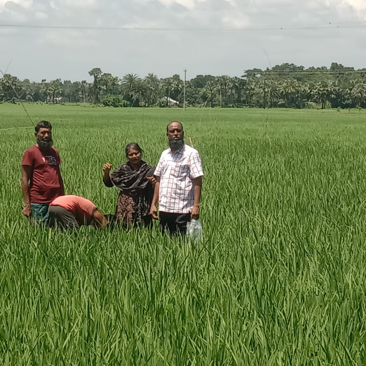 সালথা উপজেলা কৃষি সম্প্রসারণ অধিদপ্তরের পরিদর্শন করেন উপজেলা কৃষি কর্মকর্তা সুদর্শন শিকদার 
