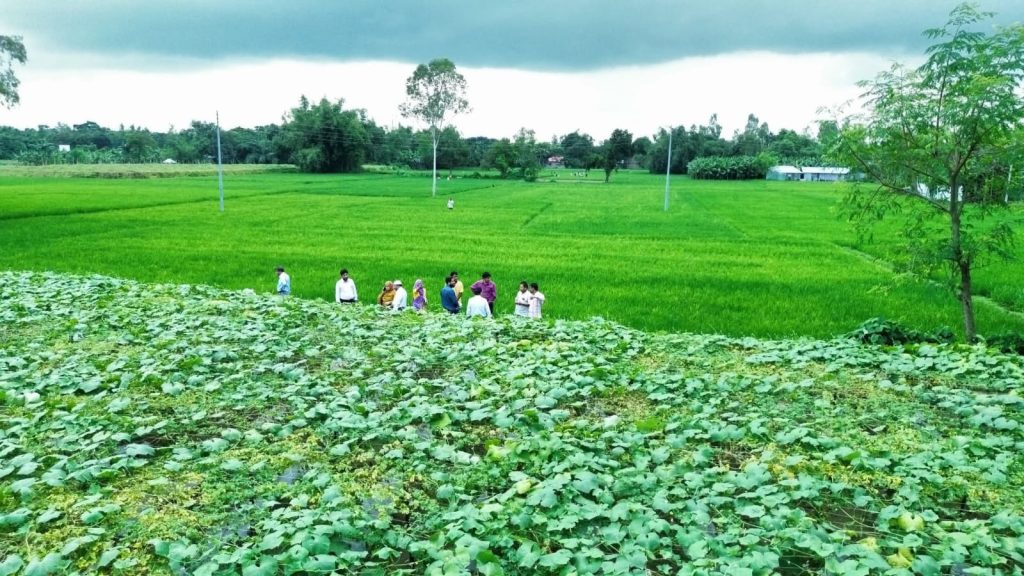 বীরগঞ্জে কৃষকদের সঙ্গে বাংলা-শেপ প্রকল্পের মতবিনিময় সভা অনুষ্ঠিত 