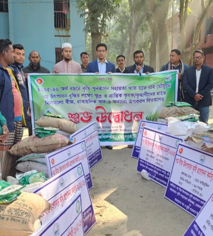 ভোলাহাটে মানসম্মত গমবীজ উৎপাদনের জন্য ৫০জন কৃষককে প্রণোদনা বিতরণ